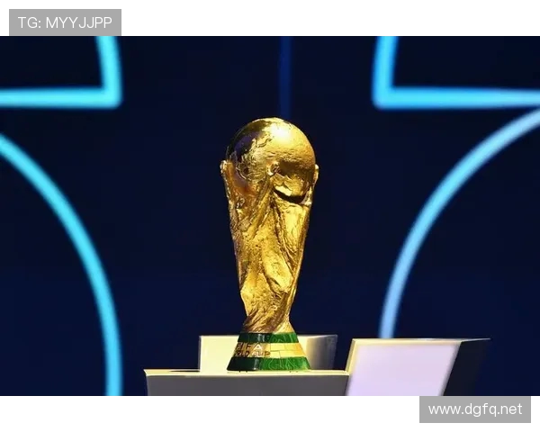 美加墨世界杯针对肢体残疾球迷的升降平台